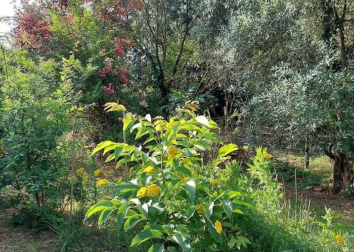 Avec Jardin بيت للعطل *