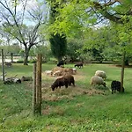 Holiday home Avec Jardin Montauban