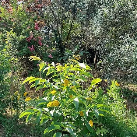 Maison De Campagne Avec Jardin بيت للعطل *
