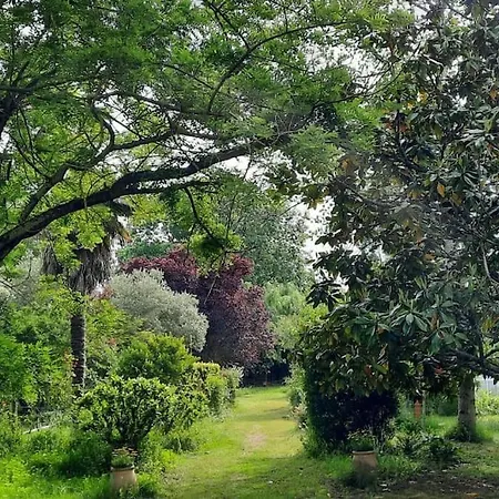 Дом отдыха Avec Jardin Монтобан