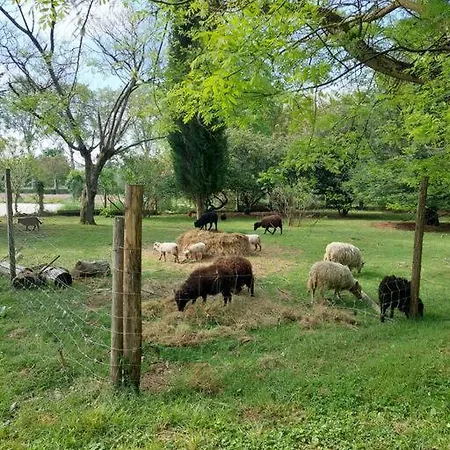 Дом отдыха Avec Jardin Монтобан