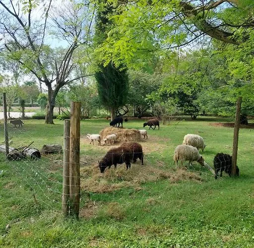 Дом отдыха Avec Jardin Монтобан